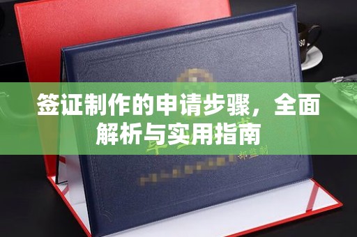 诏安签证制作的申请步骤，全面解析与实用指南
