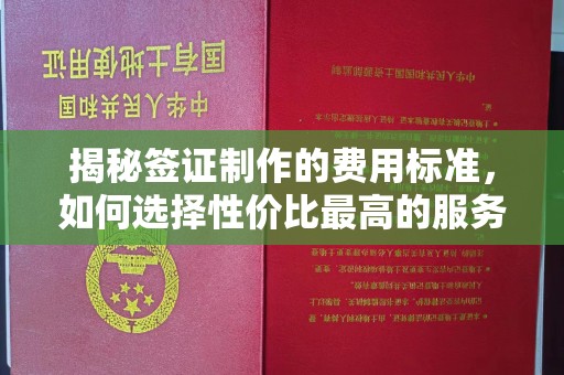 诏安揭秘签证制作的费用标准，如何选择性价比最高的服务？