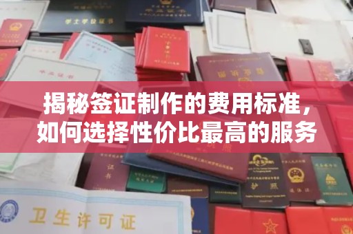 诏安揭秘签证制作的费用标准，如何选择性价比最高的服务？
