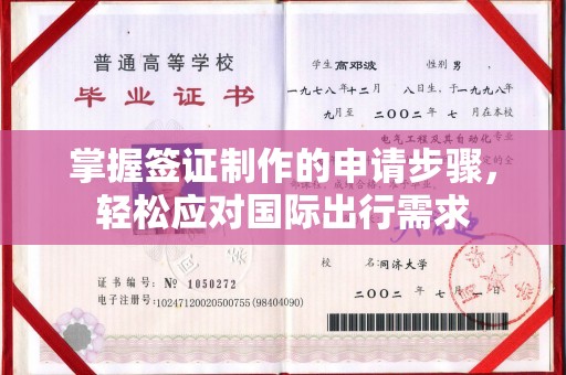 诏安掌握签证制作的申请步骤，轻松应对国际出行需求