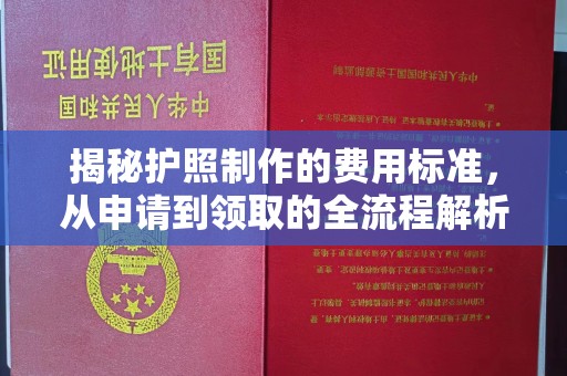 诏安揭秘护照制作的费用标准，从申请到领取的全流程解析