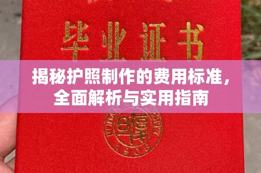 诏安揭秘护照制作的费用标准，全面解析与实用指南