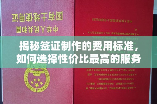 诏安揭秘签证制作的费用标准，如何选择性价比最高的服务？
