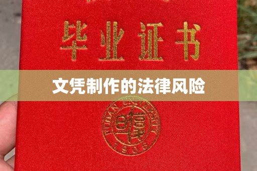 诏安文凭制作的法律风险